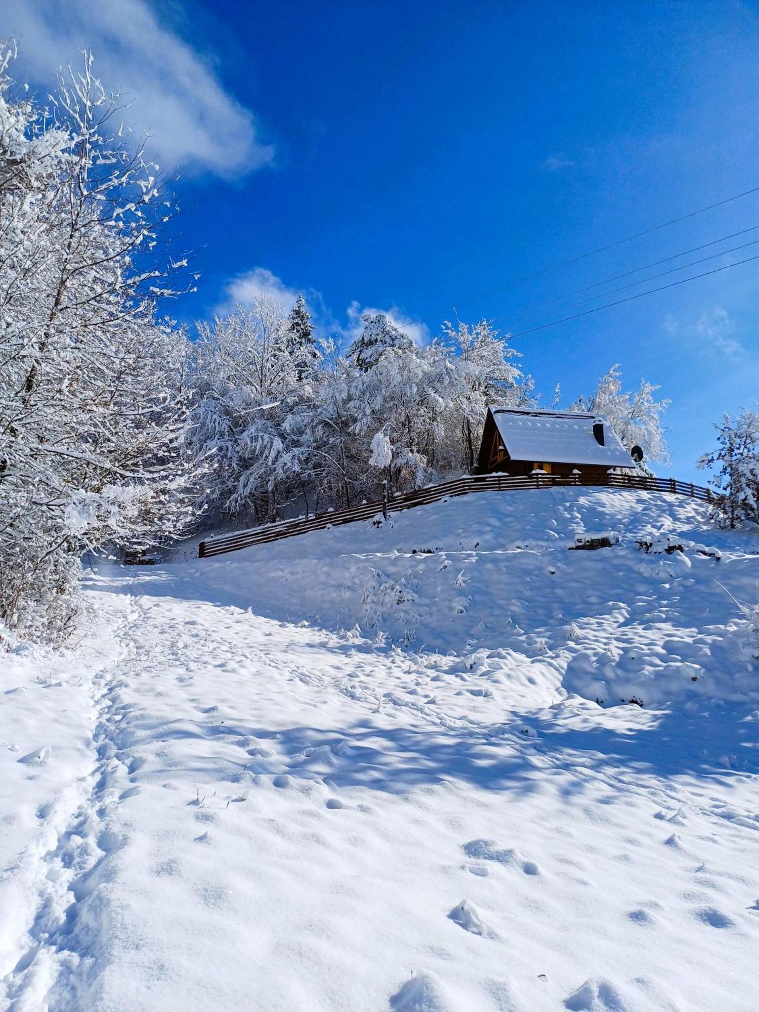 Drvene Kuce Suska - Wooden Houses Suska Zaovine Cameră foto